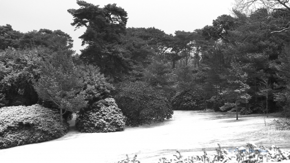 Bois des Moutiers Winterreise (32)